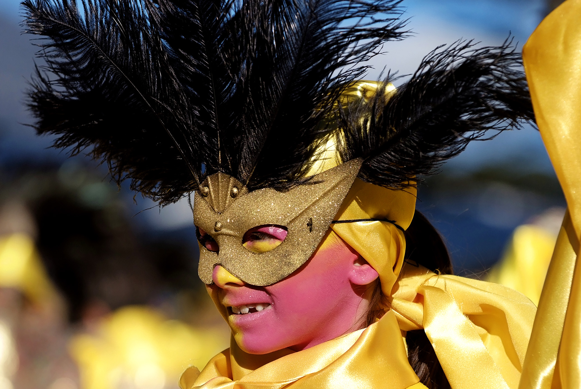 Carnevale di Bellinzona 29