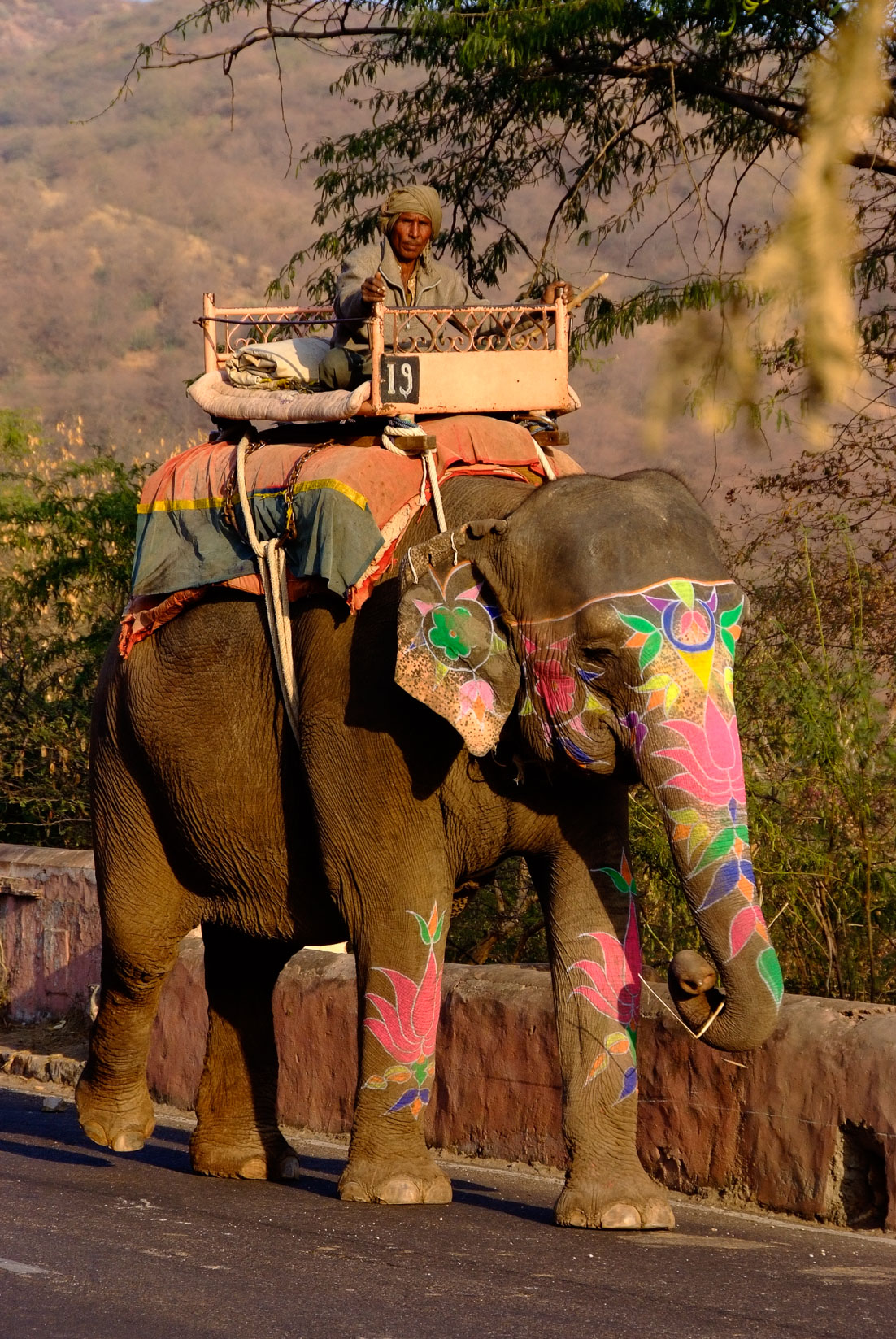 India 6