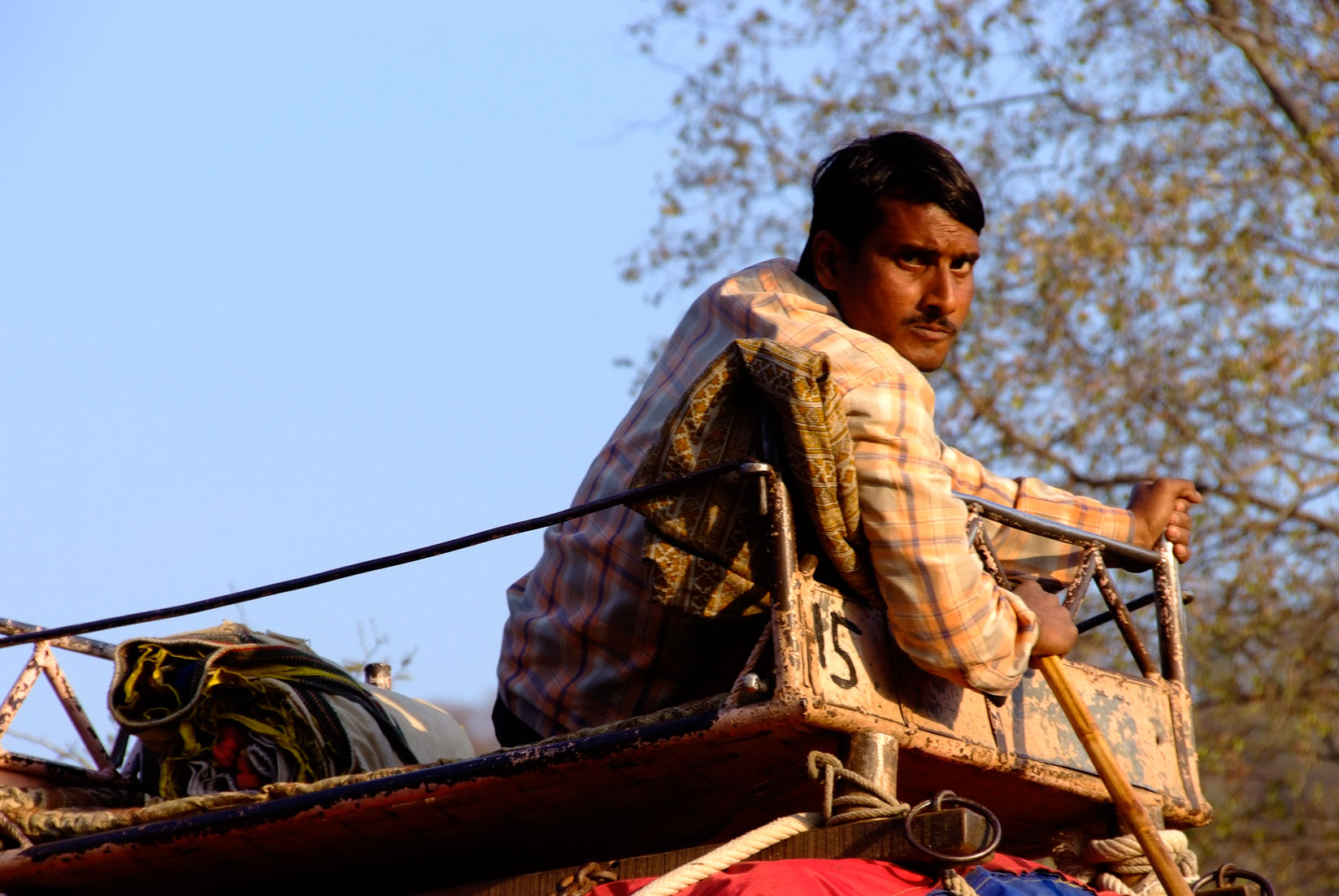 India 7