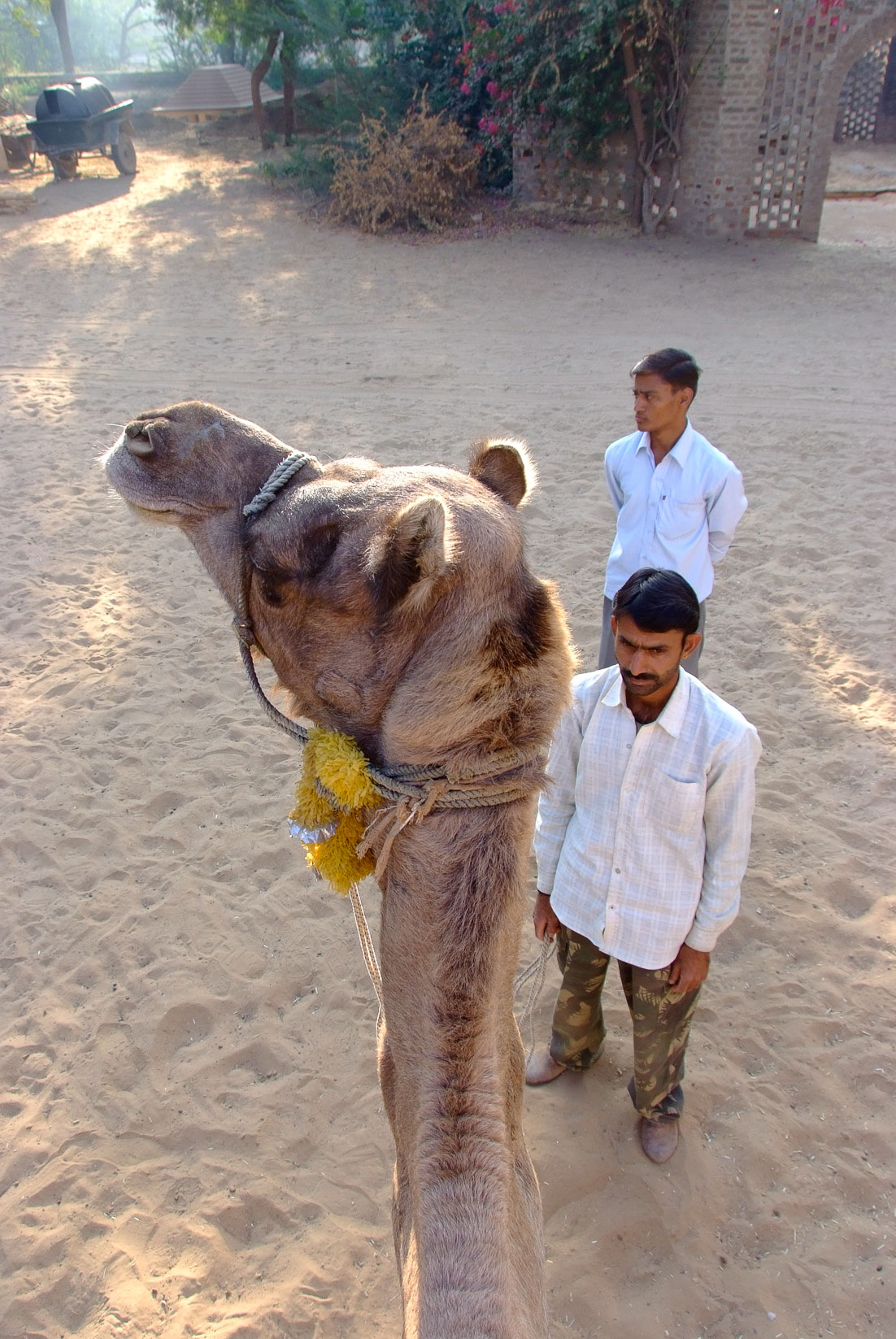 India 42