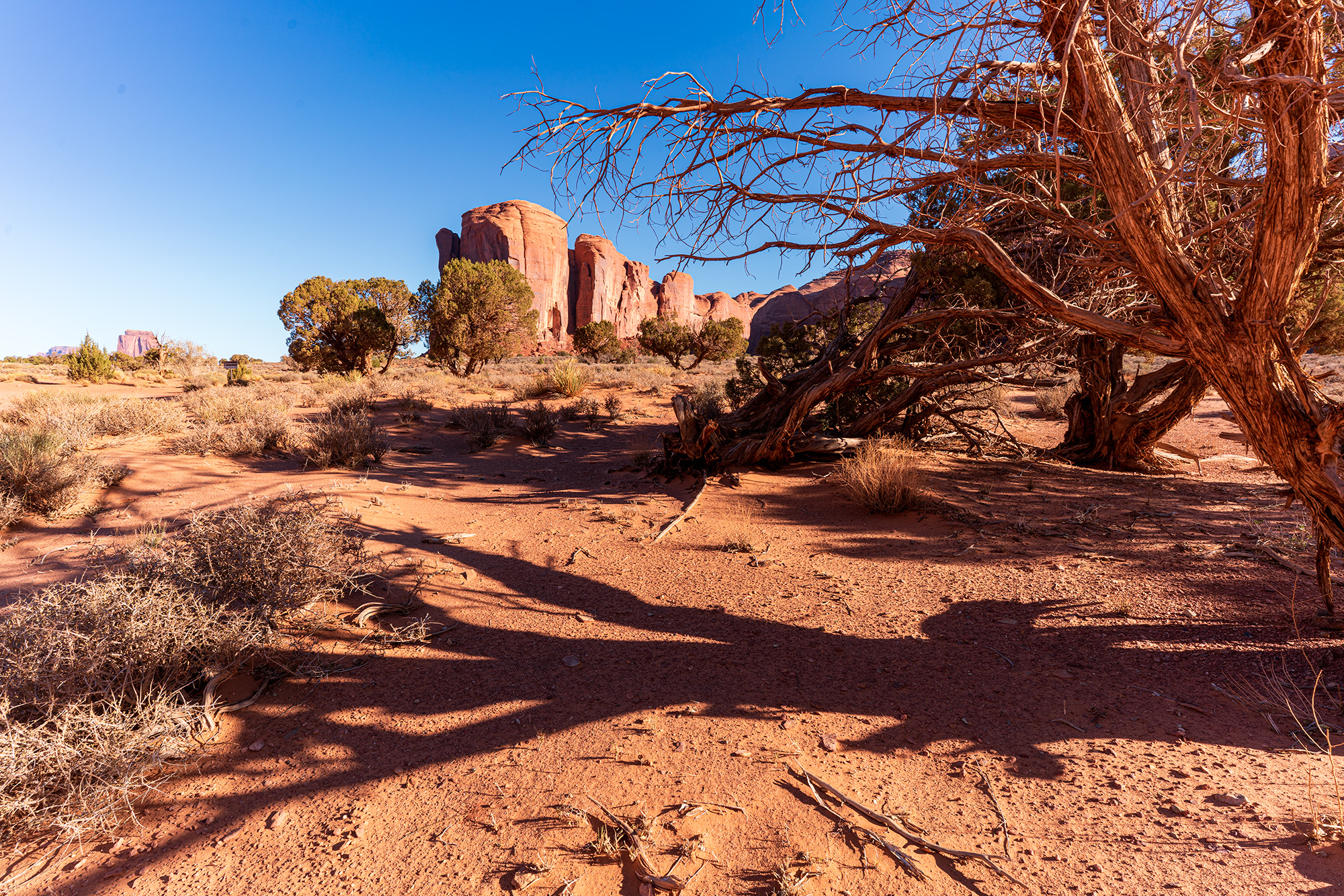 USA 2018 Monument valley 4